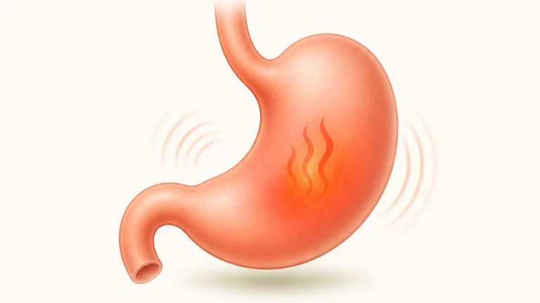 Illustration of an irritated stomach showing indigestion